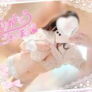 ヒメ日記 2025/04/28 16:08 投稿 もか カサブランカ岡山店（カサブランカグループ）