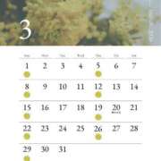 ヒメ日記 2026/03/01 08:19 投稿 てる デザインプリズム新宿