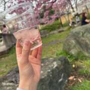 ヒメ日記 2025/03/29 08:27 投稿 ゆめ タレントCLUB