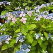 ヒメ日記 2025/06/29 13:19 投稿 ゆめ タレントCLUB