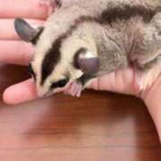 ヒメ日記 2025/07/12 20:29 投稿 ゆめ タレントCLUB