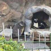 ゆめ シフト変更のおしらせ タレントCLUB