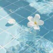 ヒメ日記 2026/07/27 15:52 投稿 ゆめ タレントCLUB