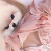 ヒメ日記 2025/02/05 23:39 投稿 上白石　りぼん つくば風俗エキスプレス   ヌキ坂46