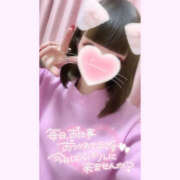 ヒメ日記 2025/05/29 01:14 投稿 上白石　りぼん つくば風俗エキスプレス   ヌキ坂46