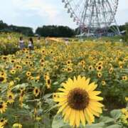 ヒメ日記 2024/08/11 16:49 投稿 あきな ケープエンジェル