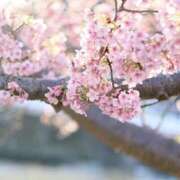 ヒメ日記 2026/03/12 16:26 投稿 あきな ケープエンジェル