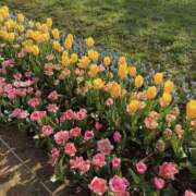 ヒメ日記 2026/04/29 22:47 投稿 あきな ケープエンジェル