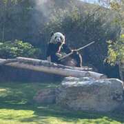 ヒメ日記 2025/05/02 19:15 投稿 さやか 京都人妻デリヘル倶楽部