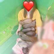 ヒメ日記 2025/01/02 12:34 投稿 川島 変態美熟女お貸しします。