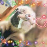 ヒメ日記 2025/01/12 19:26 投稿 川島 変態美熟女お貸しします。