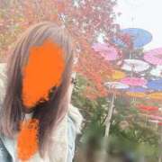 ヒメ日記 2025/02/03 23:07 投稿 川島 変態美熟女お貸しします。