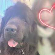 ヒメ日記 2025/02/24 21:54 投稿 川島 変態美熟女お貸しします。