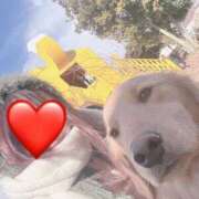 ヒメ日記 2025/03/01 13:11 投稿 川島 変態美熟女お貸しします。