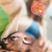 ヒメ日記 2025/04/02 10:55 投稿 川島 変態美熟女お貸しします。