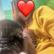 ヒメ日記 2025/04/03 07:01 投稿 川島 変態美熟女お貸しします。