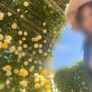 ヒメ日記 2025/04/04 10:33 投稿 川島 変態美熟女お貸しします。