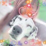 ヒメ日記 2025/04/11 20:43 投稿 川島 変態美熟女お貸しします。