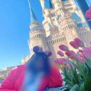 ヒメ日記 2025/04/15 13:50 投稿 川島 変態美熟女お貸しします。