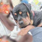 ヒメ日記 2025/04/16 11:09 投稿 川島 変態美熟女お貸しします。