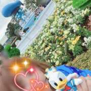 ヒメ日記 2025/04/18 23:36 投稿 川島 変態美熟女お貸しします。