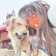 ヒメ日記 2025/04/20 11:12 投稿 川島 変態美熟女お貸しします。