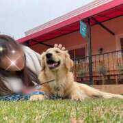 ヒメ日記 2025/04/22 12:05 投稿 川島 変態美熟女お貸しします。