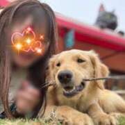 ヒメ日記 2025/04/25 09:49 投稿 川島 変態美熟女お貸しします。