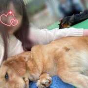 ヒメ日記 2025/04/29 22:23 投稿 川島 変態美熟女お貸しします。