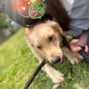 ヒメ日記 2025/05/18 23:57 投稿 川島 変態美熟女お貸しします。