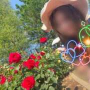 ヒメ日記 2025/05/22 00:11 投稿 川島 変態美熟女お貸しします。