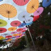 ヒメ日記 2025/05/30 08:25 投稿 川島 変態美熟女お貸しします。