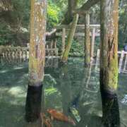 ヒメ日記 2025/06/15 08:42 投稿 川島 変態美熟女お貸しします。