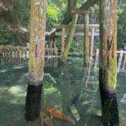 ヒメ日記 2025/06/15 08:47 投稿 川島 変態美熟女お貸しします。