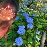 ヒメ日記 2025/06/15 23:41 投稿 川島 変態美熟女お貸しします。