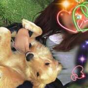 ヒメ日記 2025/06/20 10:11 投稿 川島 変態美熟女お貸しします。