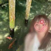 ヒメ日記 2025/06/22 11:08 投稿 川島 変態美熟女お貸しします。