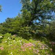 ヒメ日記 2025/06/23 20:54 投稿 川島 変態美熟女お貸しします。