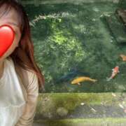 ヒメ日記 2025/07/07 05:17 投稿 川島 変態美熟女お貸しします。