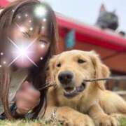 ヒメ日記 2025/07/28 08:07 投稿 川島 変態美熟女お貸しします。