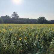 ヒメ日記 2025/08/30 08:43 投稿 川島 変態美熟女お貸しします。