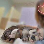 ヒメ日記 2025/09/22 08:14 投稿 川島 変態美熟女お貸しします。