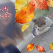 ヒメ日記 2025/10/02 22:44 投稿 川島 変態美熟女お貸しします。