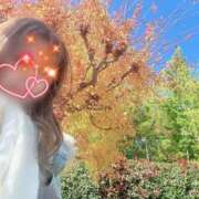 ヒメ日記 2025/11/15 06:27 投稿 川島 変態美熟女お貸しします。