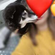 ヒメ日記 2025/11/27 06:21 投稿 川島 変態美熟女お貸しします。