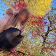 ヒメ日記 2025/12/05 08:31 投稿 川島 変態美熟女お貸しします。