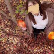 ヒメ日記 2025/12/08 08:09 投稿 川島 変態美熟女お貸しします。