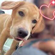 ヒメ日記 2025/12/15 13:25 投稿 川島 変態美熟女お貸しします。