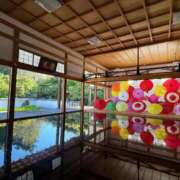 ヒメ日記 2025/12/29 21:42 投稿 川島 変態美熟女お貸しします。