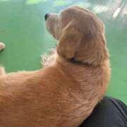 ヒメ日記 2026/01/11 12:19 投稿 川島 変態美熟女お貸しします。